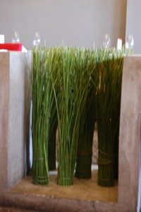 Brava's Reeds