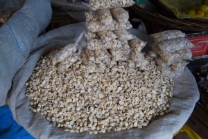 Toasted Ñuña Beans for Sale