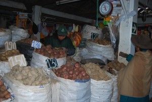 Selling Potato