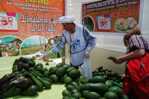 Avocado from Limatambo