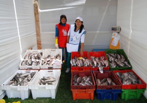 Selling Fish for Holy Week