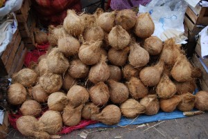 Coconuts for Sale