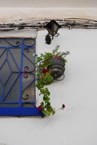 Geraniums on the Wall