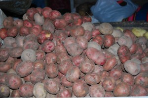 Peru's Native Potatoes Protected from Genetically Modified Seed