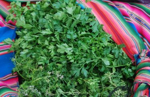 Fresh Parsley for Sale