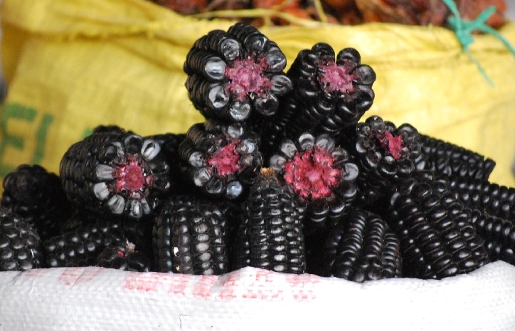 Peru's Famous Purple Corn