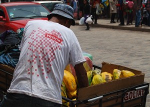 Selling Papayas in the Street
