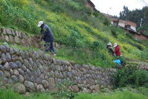Inca Terrasses in Jardines Del Inca, City of Cuzco