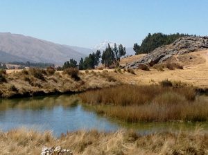 A Pond and Spring above Huayracpunco