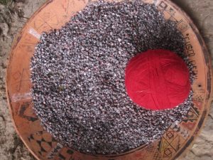 Cochineal and Red Yarn