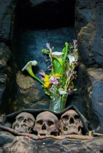 Three Skulls and Flowers at Home (Photo: Wayra)
