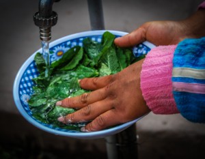 Washing Mint for Chicharron (Photo: Wayra)