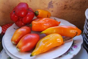 The Makings of a Hot Sauce Well Adapted to Local Genes