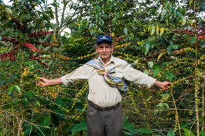 Neto's Father and His Coffee Plants