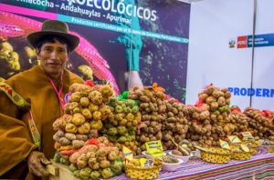 The Wonder and Variety of Peruvian Potatoes at Mistura (Giancarlo Gallardo)