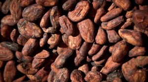 Peru's Cacao 