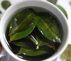 Coca Tea (Walter Coraza Morveli)