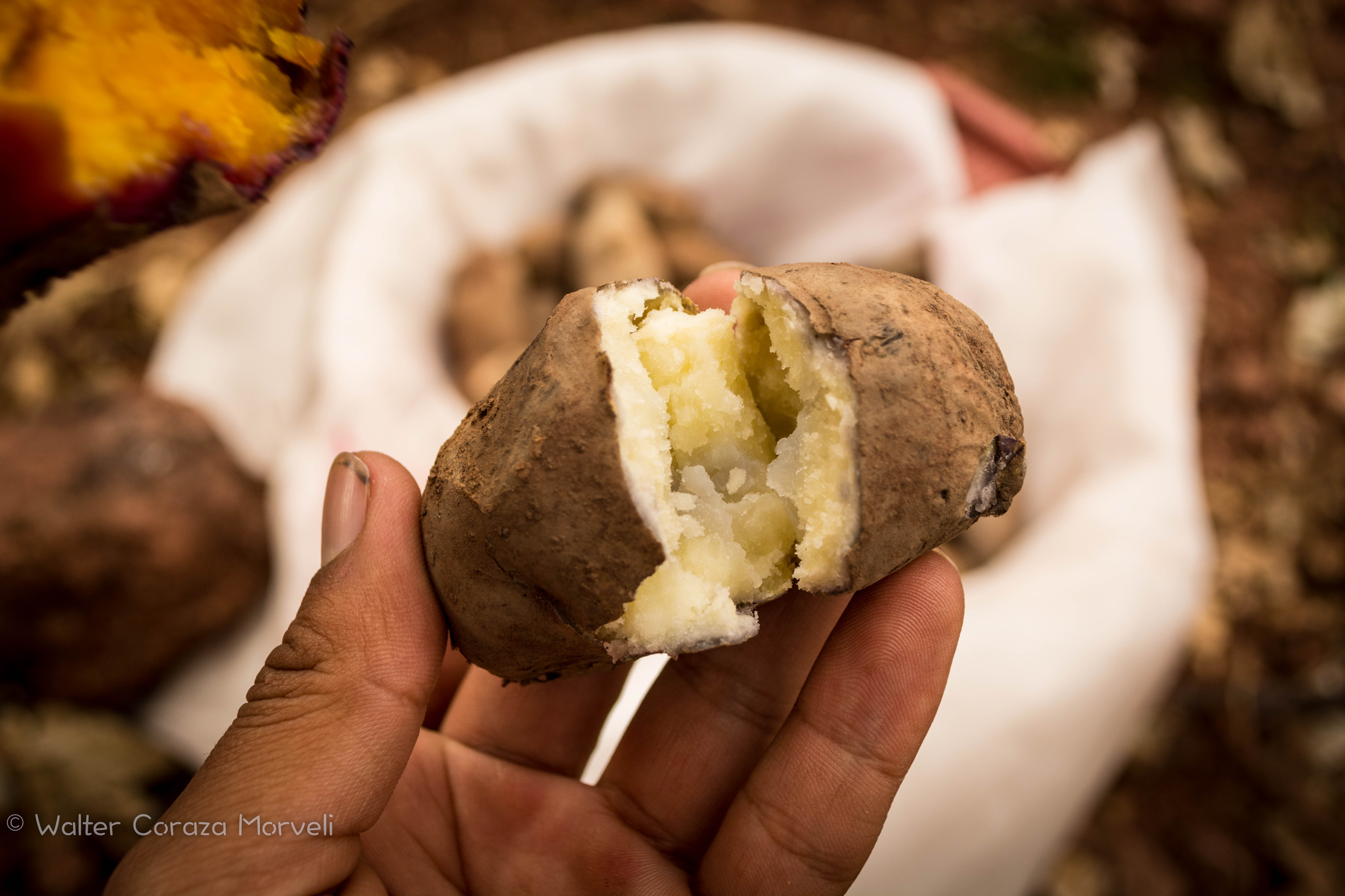 Delicious Huatia Baked Potato (Walter Coraza Morveli)q