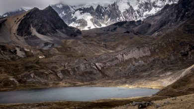 Puma Cocha Lake (Walter Coraza Morveli)